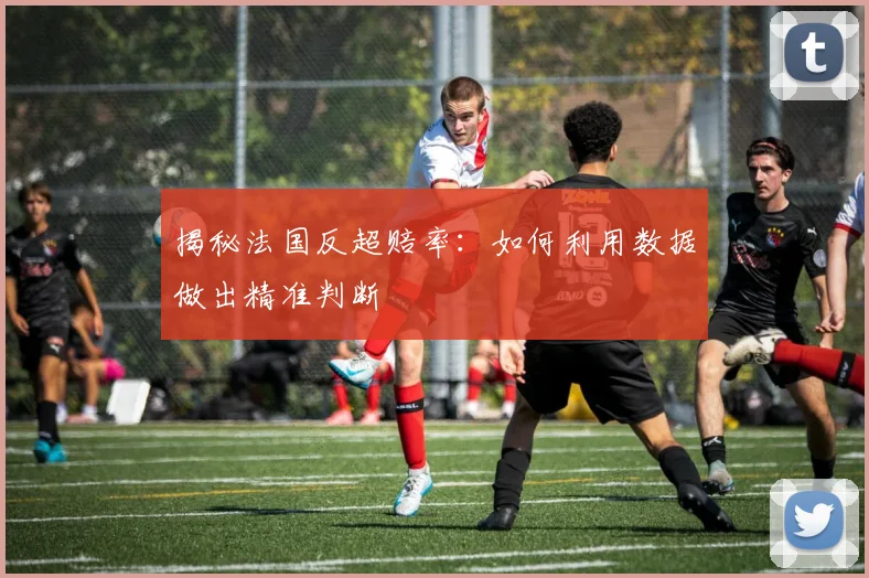 揭秘法国反超赔率:如何利用数据做出精准判断