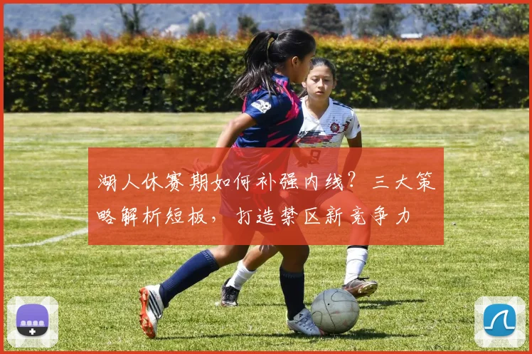 湖人休赛期如何补强内线?三大策略解析短板,打造禁区新竞争力